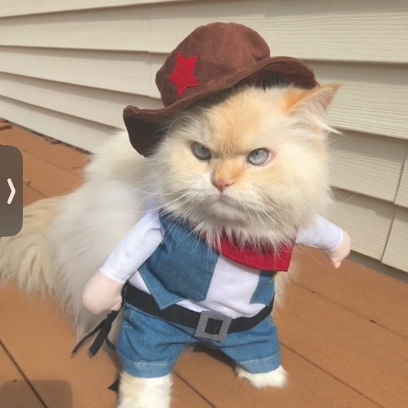 Meet your Posher, Brad - Picture 1 of 1